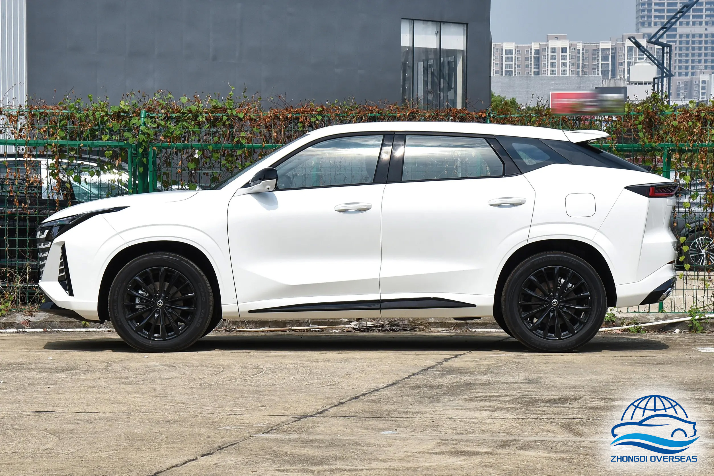 0c6b73dc55f95ebcf2e566e18d8380dd~2508x0