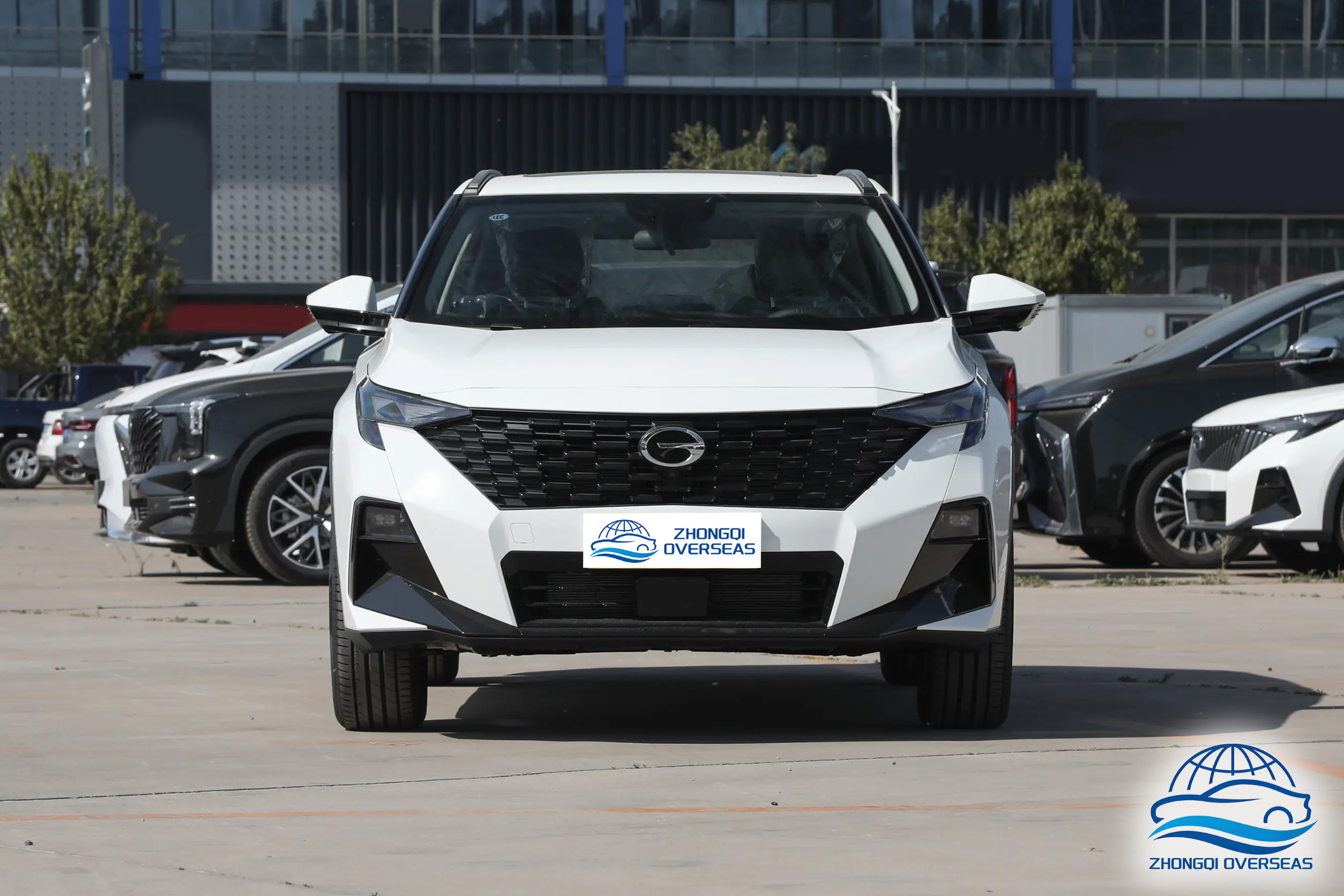 DCP_57bbbd8aa9f6e95a3dadce9eae933afb~2508x0