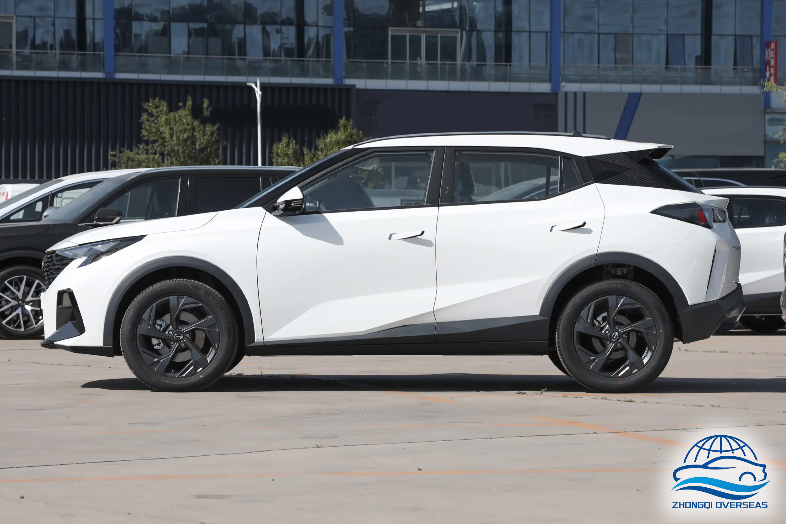 DCP_6dc9c19755415e974bb51a895d1cd6d6~2508x0